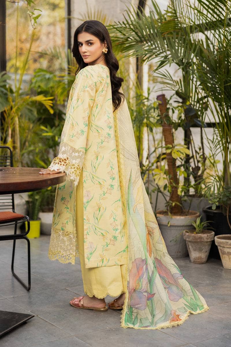 img_rang_rasiya_lifestyle_awwal_boutique