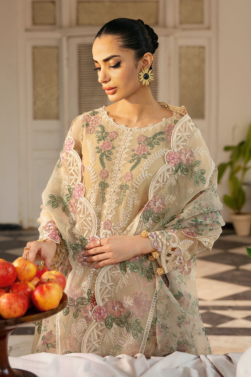 img_ramsha_dastak_chiffon_awwal_boutique