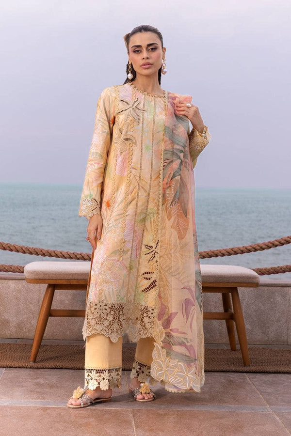 img_rang_rasiya_carnation_awwal_boutique