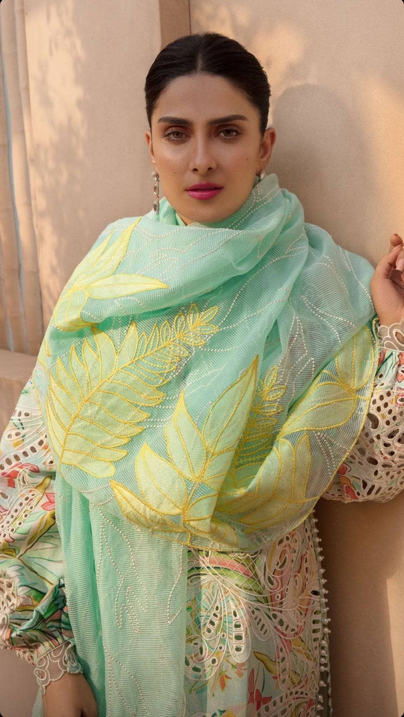 img_rang_rasiya_eid_collection_awwal_boutique